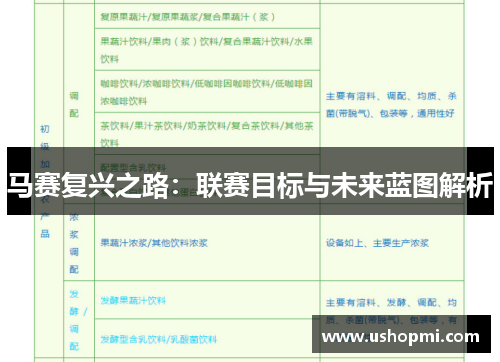 马赛复兴之路：联赛目标与未来蓝图解析