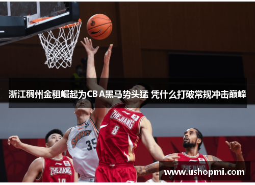 浙江稠州金租崛起为CBA黑马势头猛 凭什么打破常规冲击巅峰
