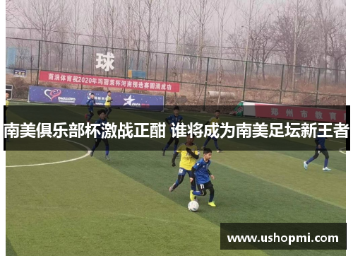 南美俱乐部杯激战正酣 谁将成为南美足坛新王者